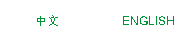 中文版